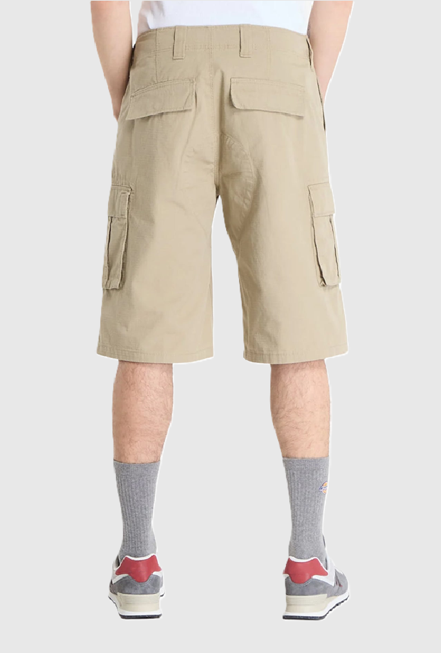 DICKIES DK0A89EFKHK1