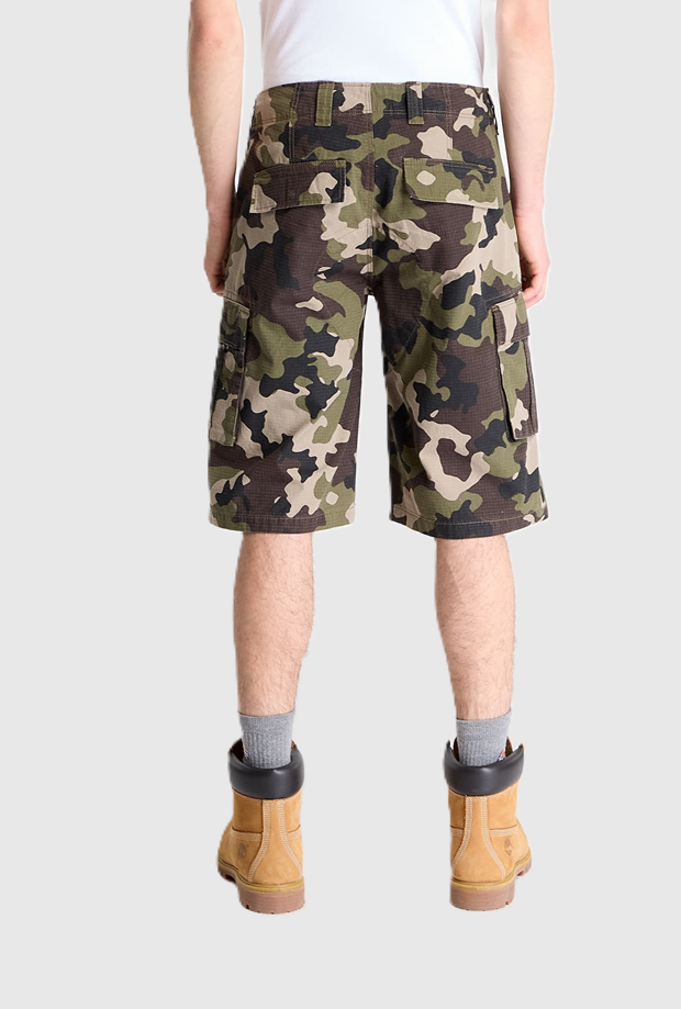 DICKIES DK0A89EFMGR1