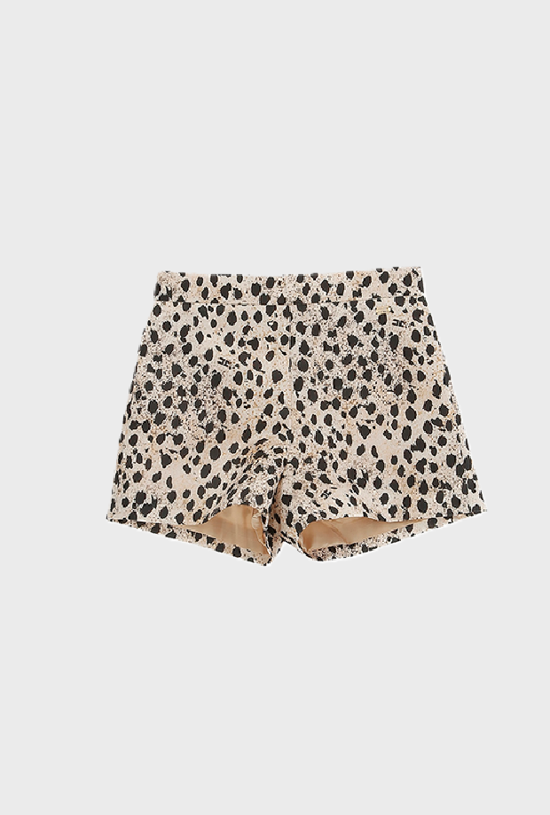 ELISABETTA FRANCHI EFBE086.0.RAE02.D464