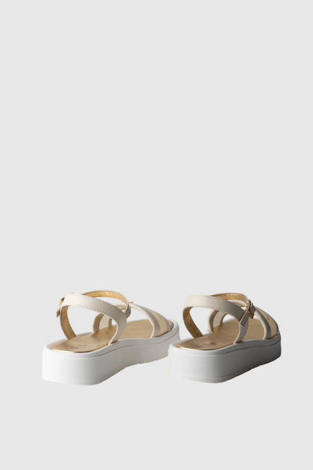 ELISABETTA FRANCHI F4A2-E0597-1922698