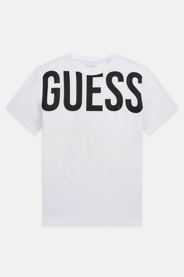 GUESS F6GI01J1314G011