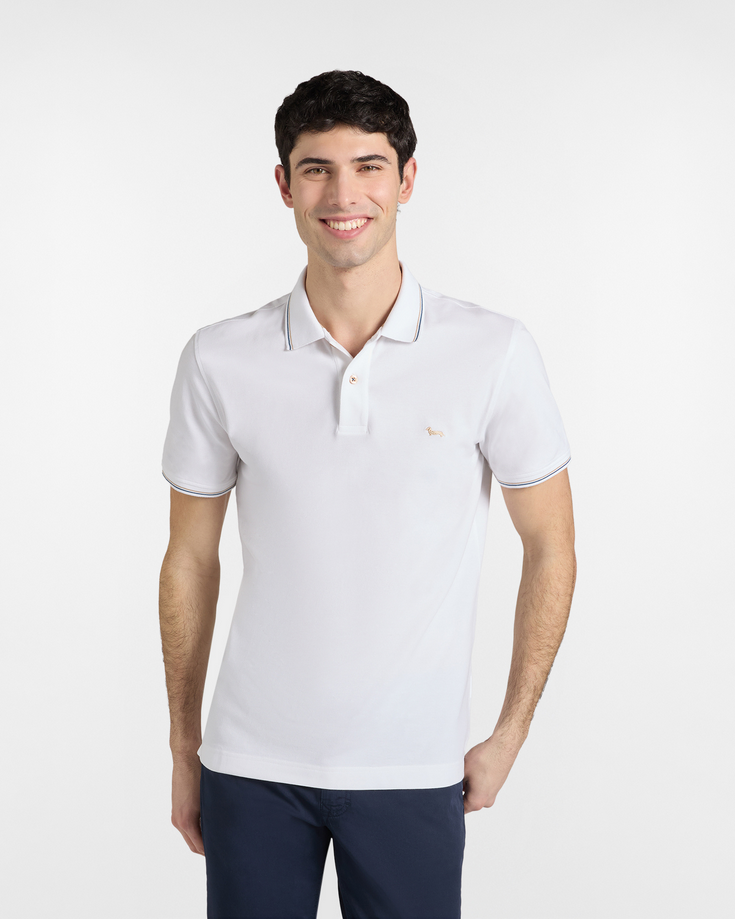 HARMONT&BLAINE LNQ032020862100