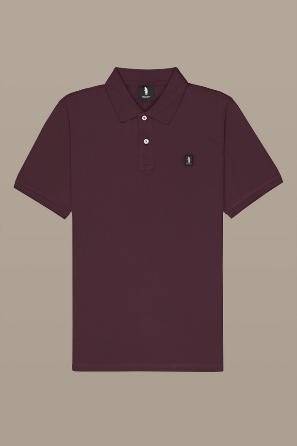 REFRIGUE R5013M261BROWN