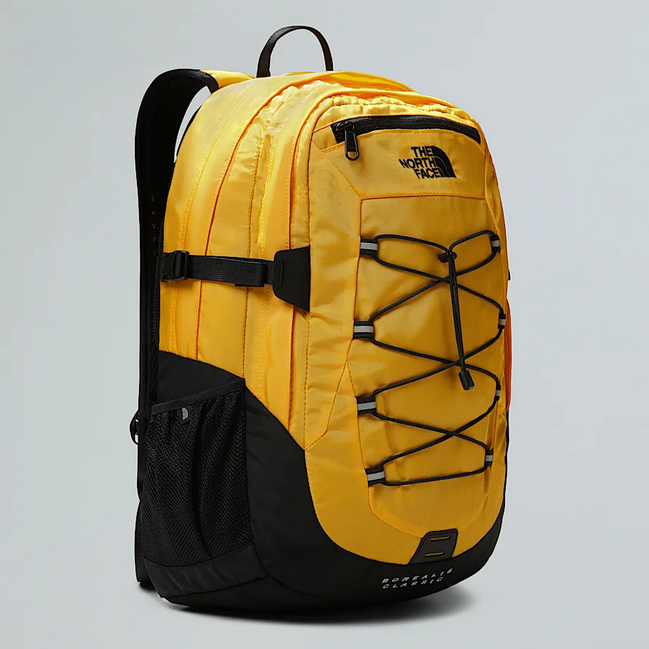 THE NORTH FACE NF00CF9C4WP