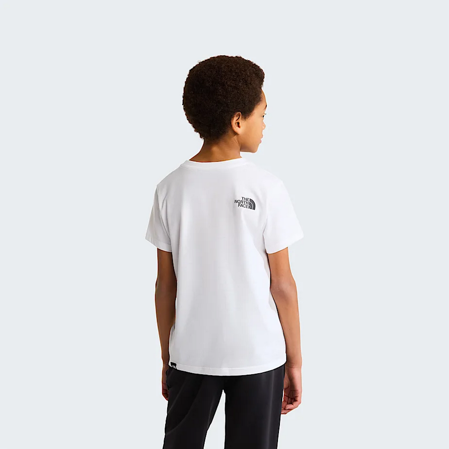 THE NORTH FACE NF0A87T4FN4