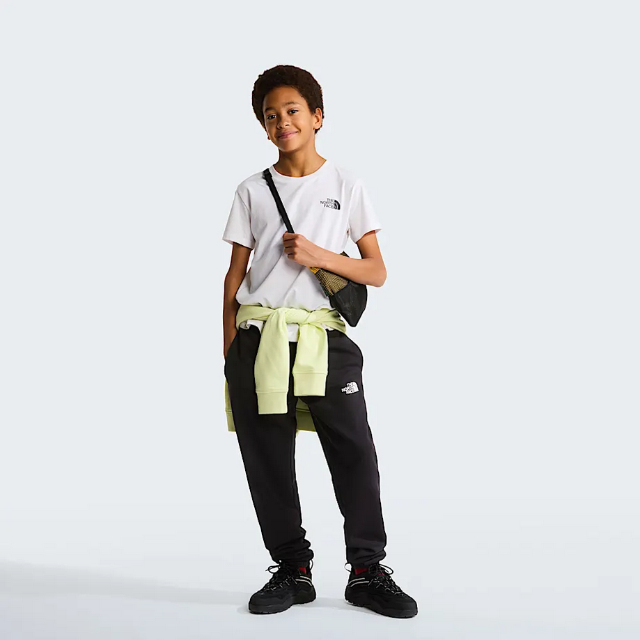 THE NORTH FACE NF0A87T4FN4
