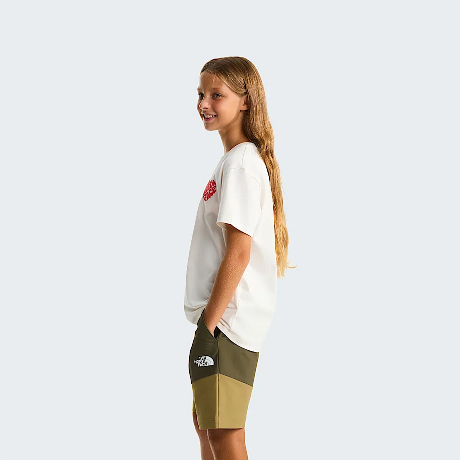 THE NORTH FACE NF0A8G1QQLI