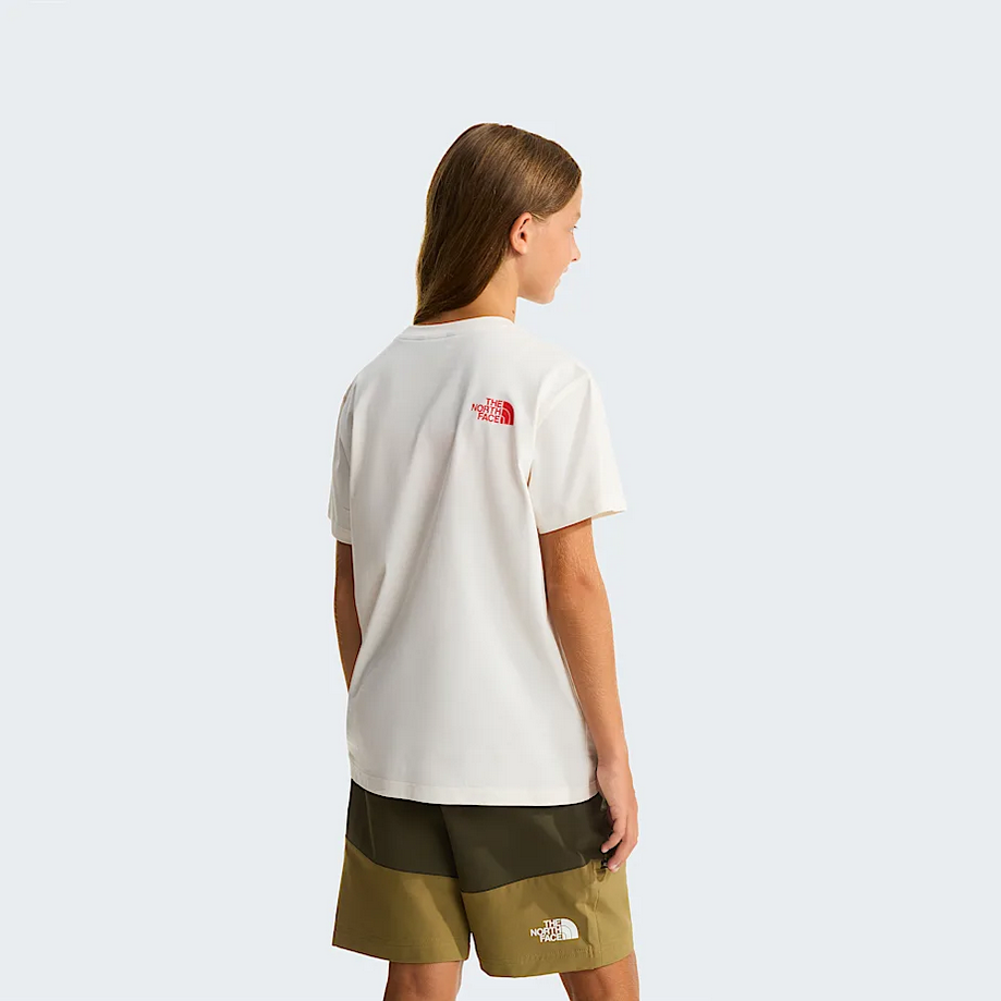 THE NORTH FACE NF0A8G1QQLI