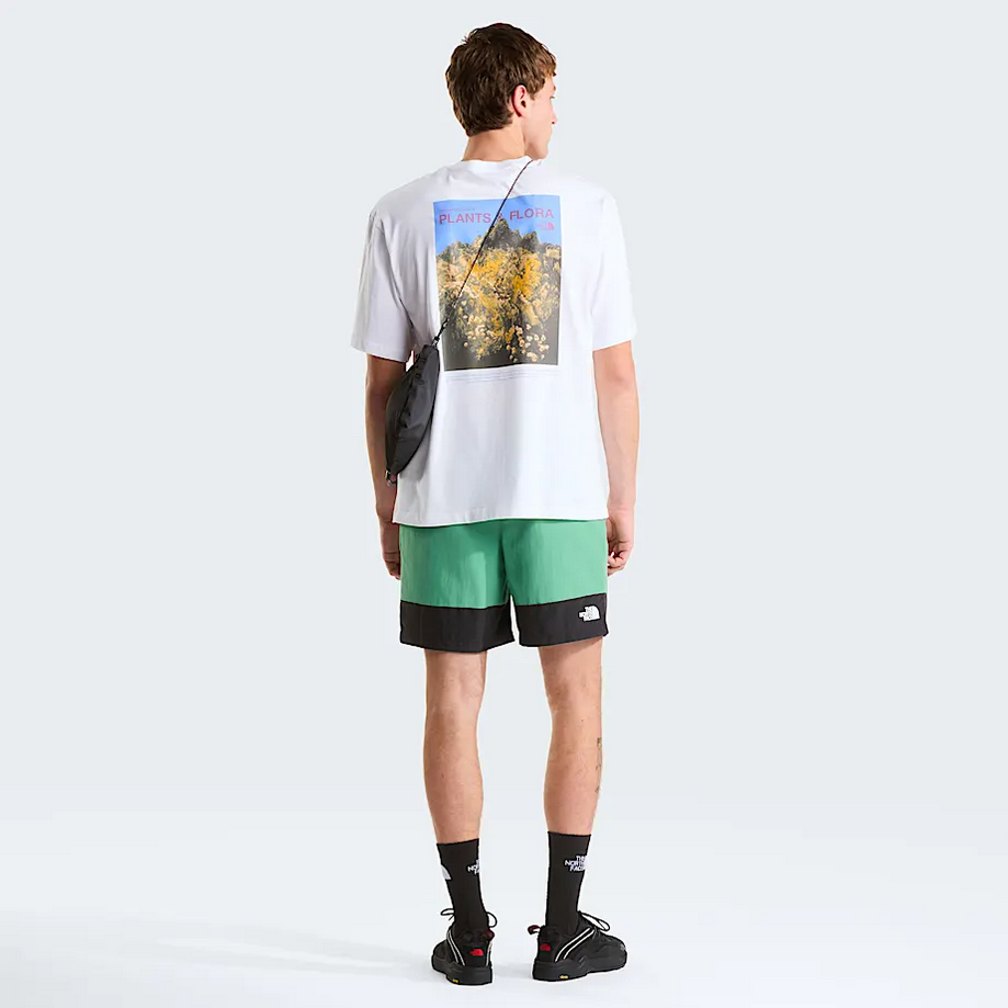 THE NORTH FACE NF0A8GB3FN4