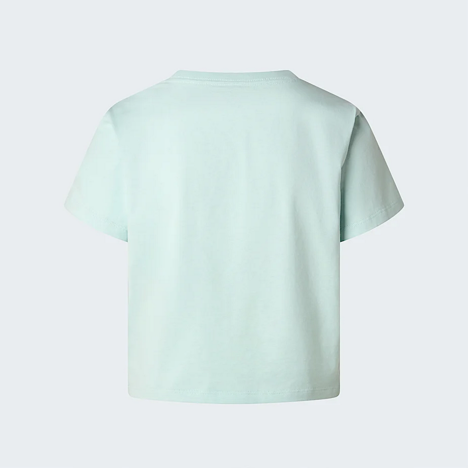 THE NORTH FACE NF0A8GR1G70