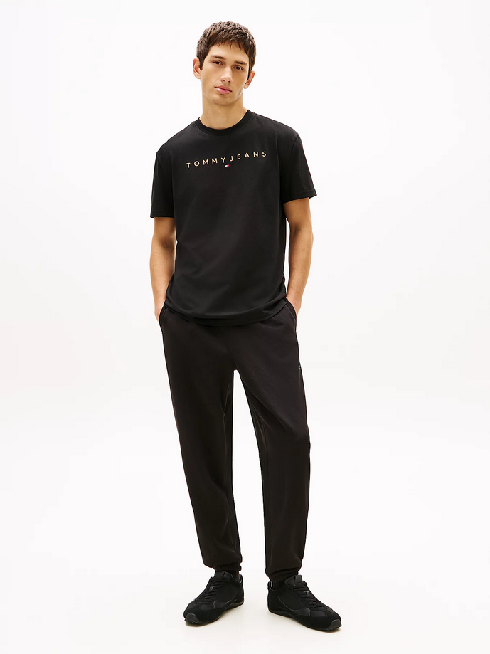 TOMMY HILFIGER DM0DM20744SEV