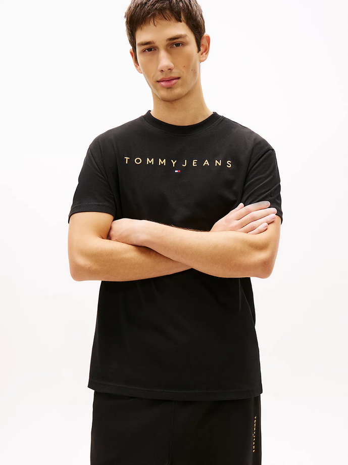TOMMY HILFIGER DM0DM20744SEV