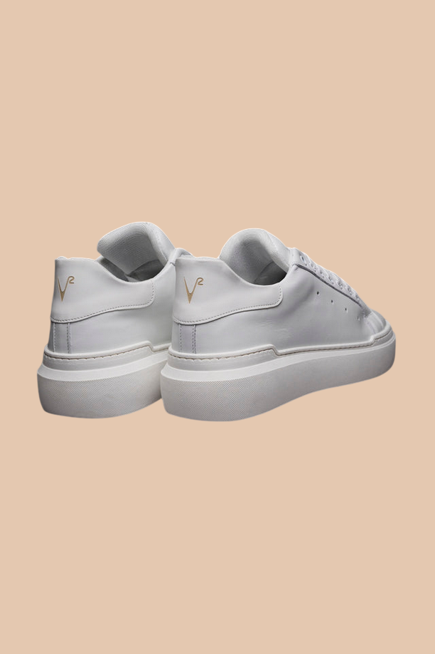 V2 SBIMQBI