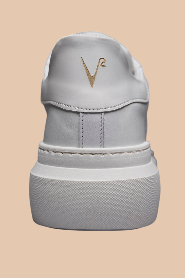 V2 SBIMQBI