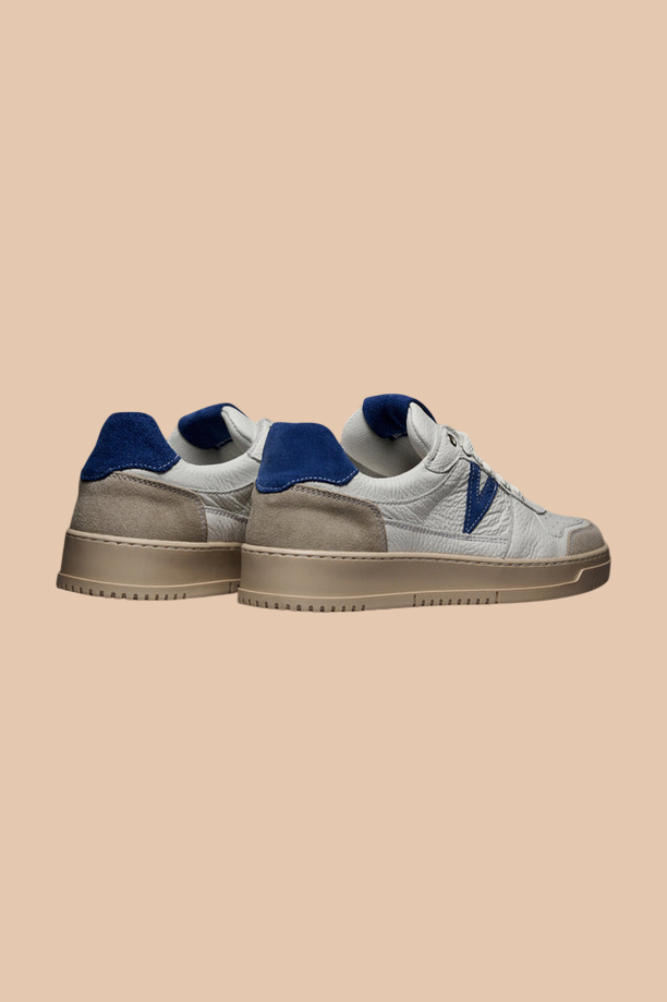 V2 SUCOLROY